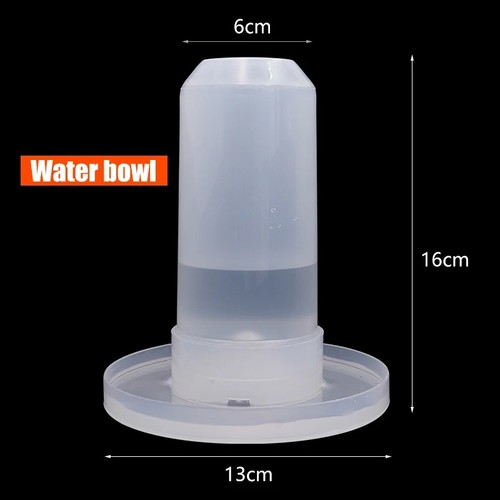 Automatic bird quail drinking - bird,