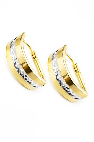 Two tone gold - tone, earrings