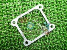 TZR125 Reed Valve Gasket, In