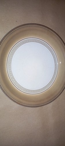 Denby seville dinner plates - dinner,