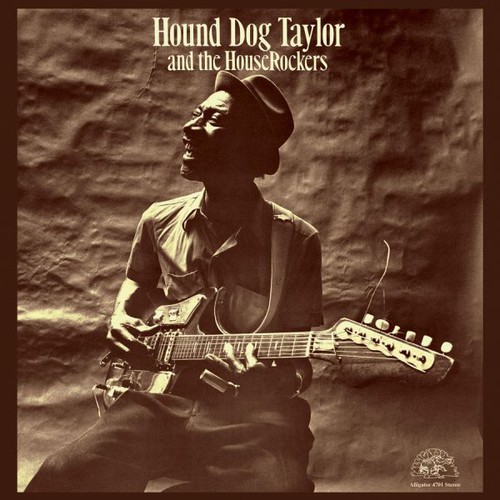 Hound dog taylor - dog,