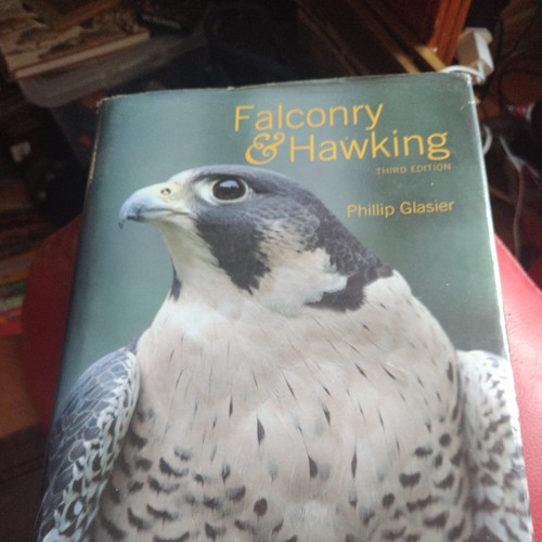 Falconry and hawking - and,