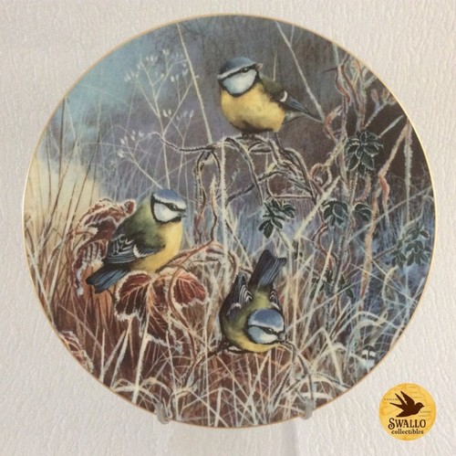 Vintage coalport frosty - vintage,