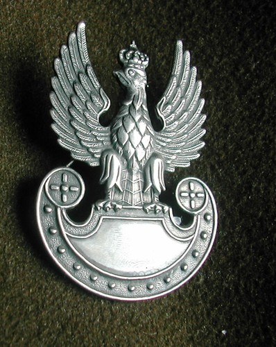 Beautifull polish army badge - polish,