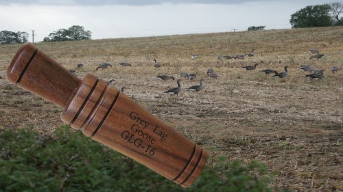 Goose call greylag - goose, dj