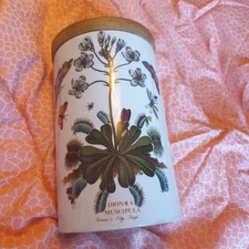 Portmeirion Botanic Garden