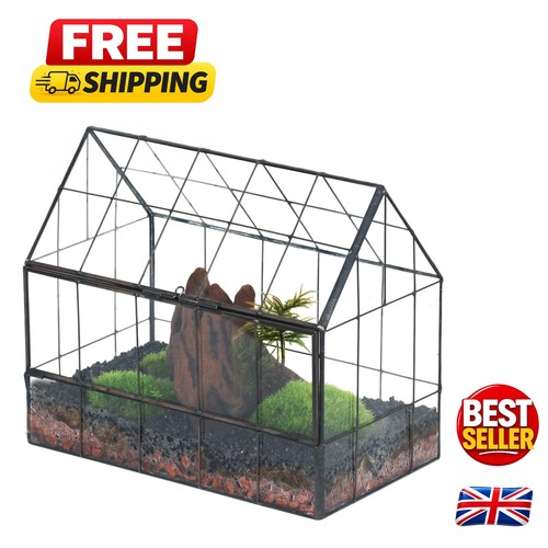 Indoor glass terrarium with - terrarium,