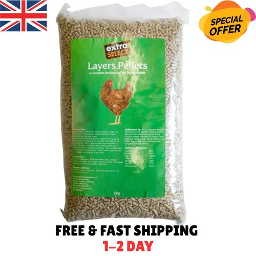 Chicken feed layers pellets - feed,