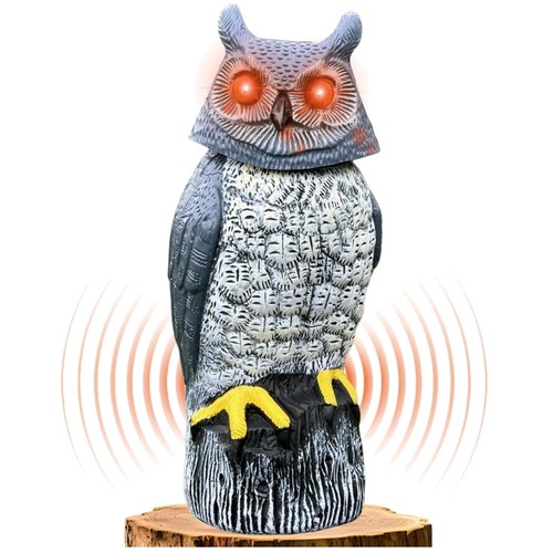 Solar owl statue - owl,