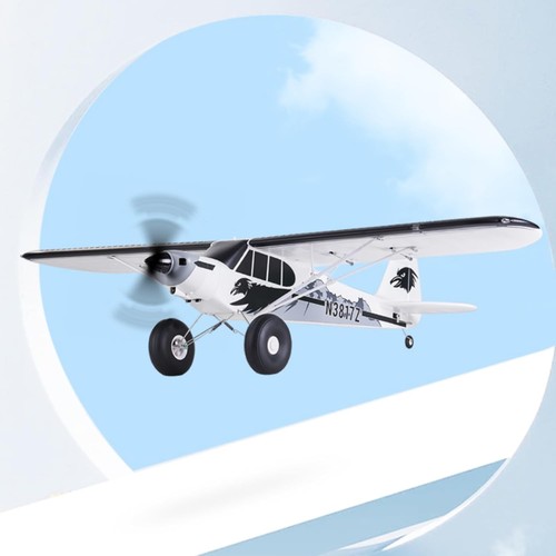 Fms airplanes for adults - fms,