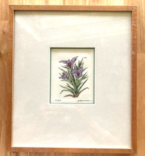 ORCHID FLOWER LITHOGRAPH ART