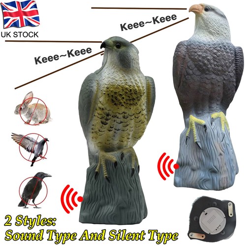 Decoy hawk garden - decoy,