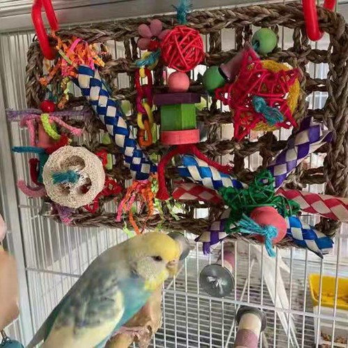 Parrots foraging toys - toys, wall