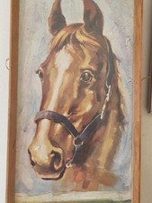 Collection Of 4 Horse Paintings Bmsigned By David Golding In Pine Frames 40 X 17