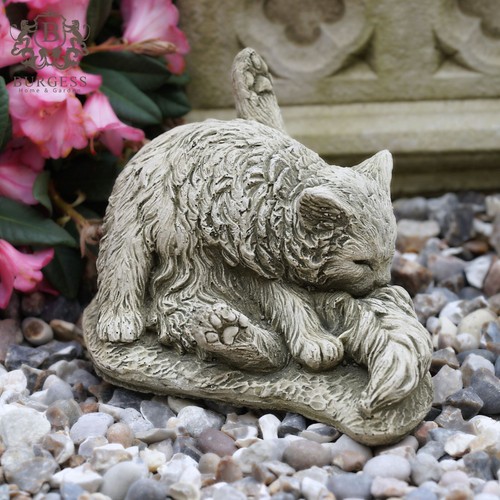 Washing cat stone - stone, statue
