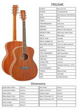 Guitar By Tanglewood, Model