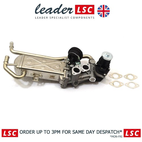 Egr valve and - cooler, audi