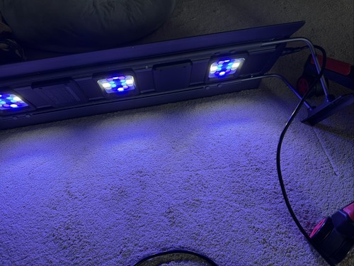 Maxspect rsx 150 aquarium - rsx, r5-150
