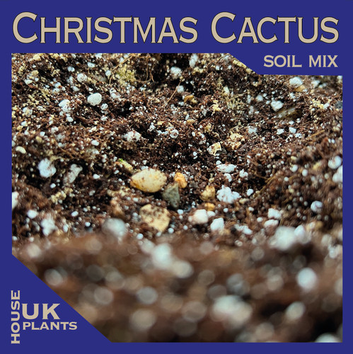 Christmas cactus soil - cactus, mix