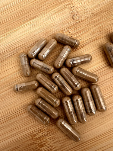 Mushroom extract complex - extract,