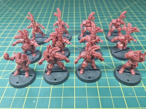 Blood bowl imperial - bowl, nobility