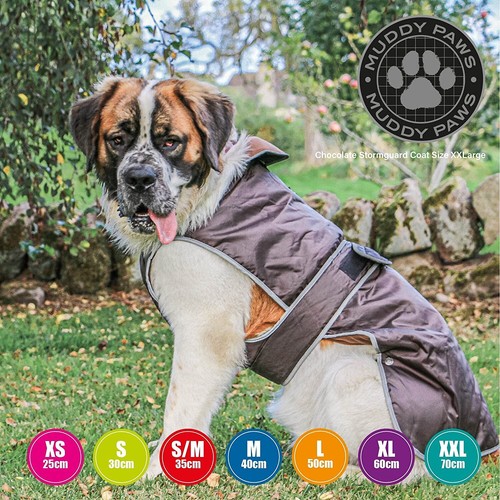 Ancol muddy paws 1 all - ancol,