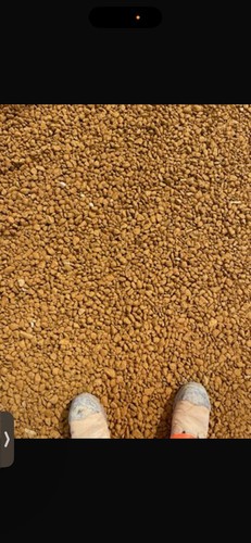 Cotswold chippings 20t - cotswold,