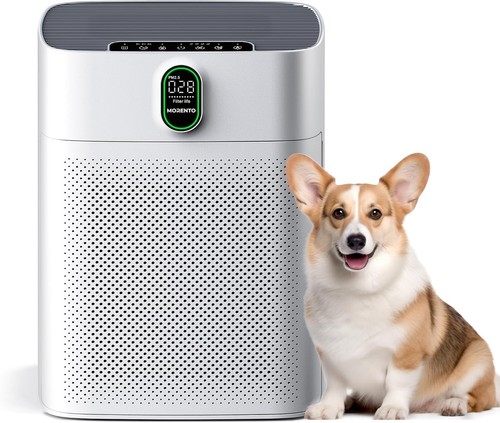 Morento air purifiers - air, pm2.5
