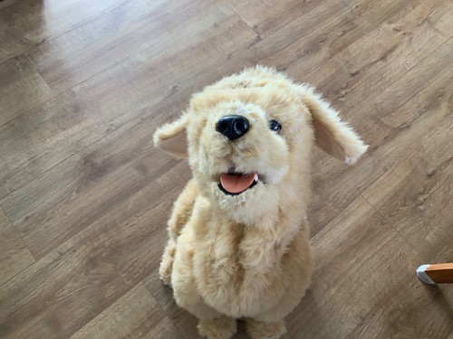 Biscuit lovin pup large - biscuit,