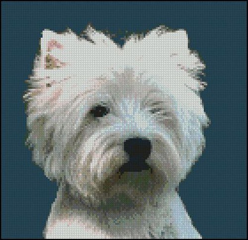 West highland terrier counted - west,