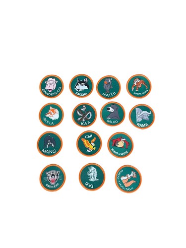 Cub scout badges full - full,