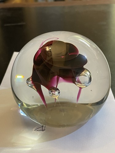 Caithness space rose - ‘space, rose’