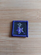 UK Scouting Current Joining In