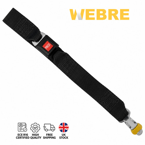 Wheelchair tie down straps - down,