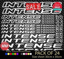INTENSE Vinyl Decal Stickers