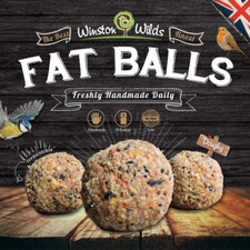 Wild Bird Fat Balls. Finest