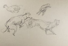 Original Pencil Sketch, Michael Lyne (1912-1989, 'Study of Greyhounds', c1960's