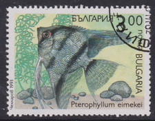 Bulgaria 1993 Freshwater Angel Fish 3L Fine Used SG 3912 VGC