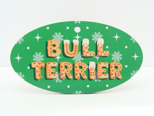 Bull terrier dog breed - bull,