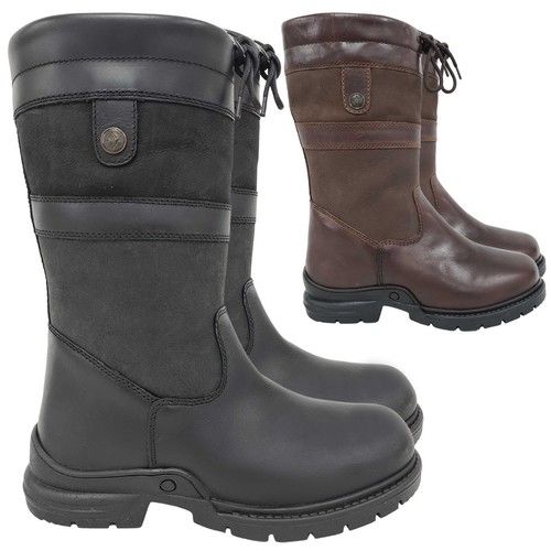 Horse riding country - horse,