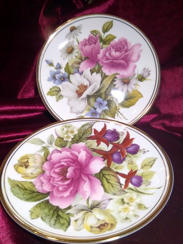 Edwardian fine bone china x - edwardian,