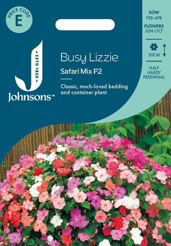 Johnsons busy lizzie safari - johnsons,