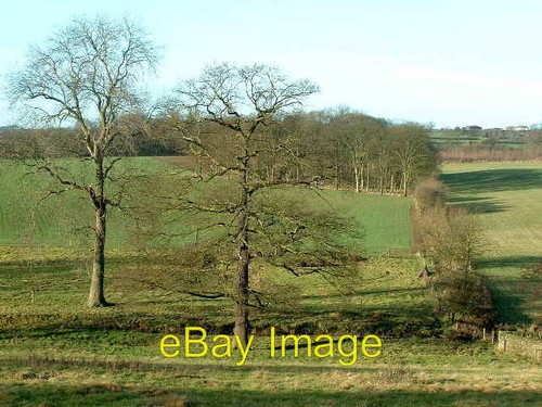 Photo 6x4 down bentley - down, to