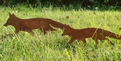 Core ten rusty patina fox - rusty,