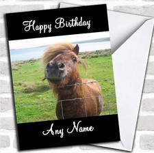 Shetland Pony Personalised