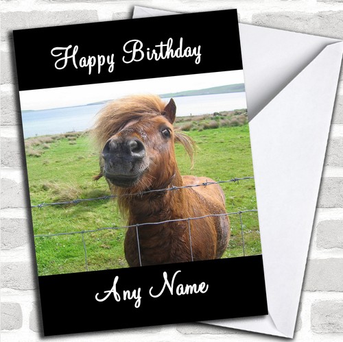 Shetland pony personalised - shetland,