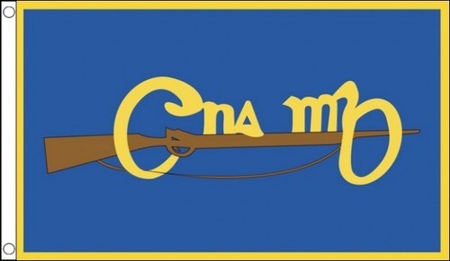 Cumann mban flag x 3 - mban,