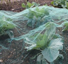 Butterfly Garden Netting Stop