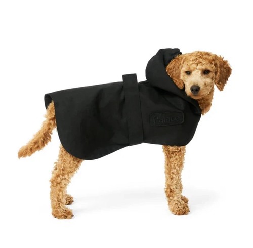 Palace barbour dog - palace, black