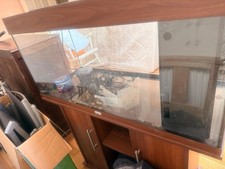 Juwel Rio 180 Aquarium Fish